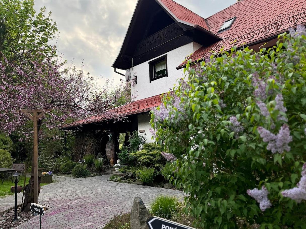 Pod Jemiola Homestay *