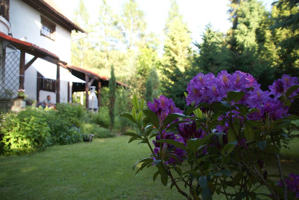 Pod Jemiola Homestay Wisla